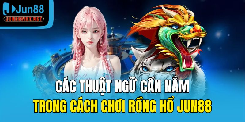 Các thuật ngữ cần nắm trong cách chơi Rồng Hổ Jun88