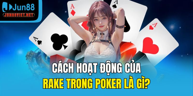 Cách hoạt động của Rake trong Poker là gì?