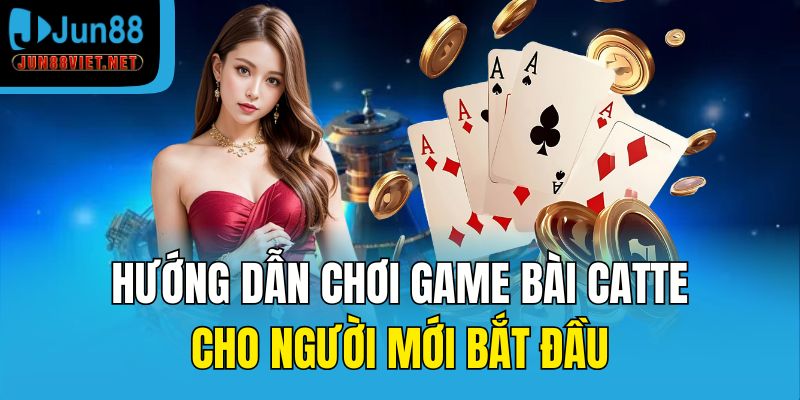 Hướng dẫn chơi game bài Catte cho người mới bắt đầu